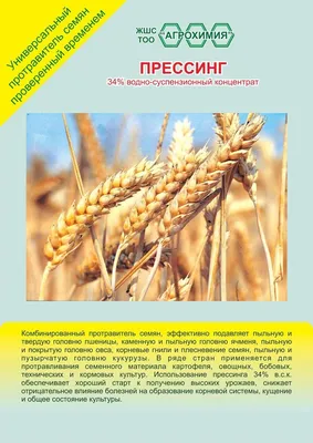 Озимая пшеница | Syngenta