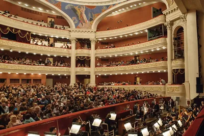 В Саратовском театре оперы и балета выступят солисты \"Новой оперы\" | Театр  и люди | Дзен