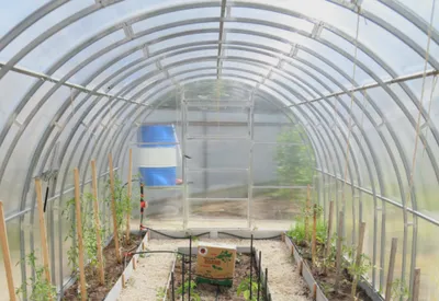 теплица с растительностью внутри Стоковое Фото - изображение насчитывающей  урожай, культивирование: 222459486