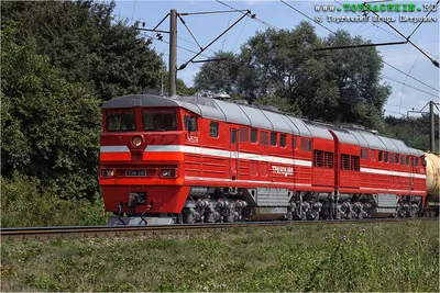 ФотоБлог Торгачкин Игорь Петрович © Igor Torgachkin: Тепловоз 2ТЭ116-586 /  Locomotive 2TE116-586