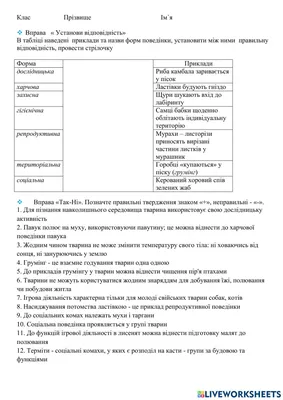 Насекомые – это новое мясо. Как саранча и сверчки на нашем столе могут спасти планету и людей