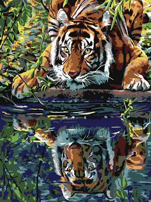 Картина по номерам Тигр у воды LORI 14916995 купить в интернет-магазине  Wildberries