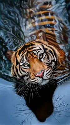 Скачать 1440x2560 тигр, вода, арт, большая кошка, хищник, полосатый обои,  картинки qhd samsung galaxy s6, s7, edge, note, lg g4