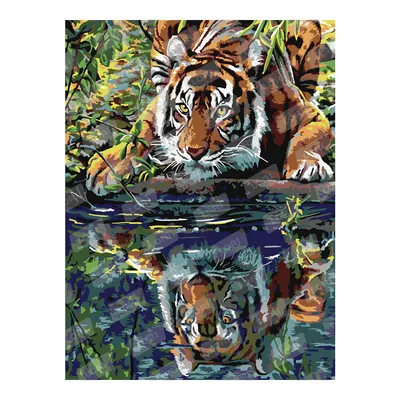 Картина по номерам \"Тигр у воды\"
