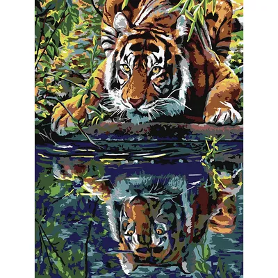 Набор для творчества LORI Картина по номерам Тигр у воды Символ года 2022 -  Кпн-164 купить в интернет-магазине Наша детка в Москве и России, отзывы,  фото