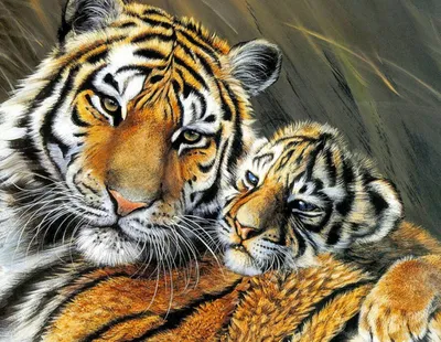 Тигрица с тигрёнком лежат на камне