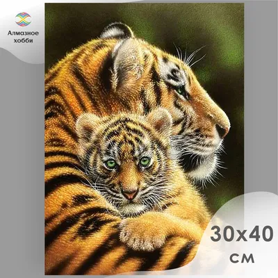 Тигрица с тигрятами (60 фото)