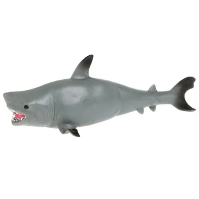 большая тигровая акула. стоковое изображение. изображение насчитывающей  вышесказанного - 229701505
