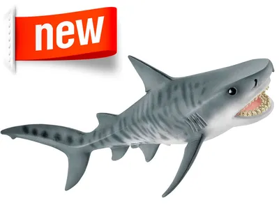 Песчаная тигровая акула фигурка-игрушка 6,4 х 16,5 х 3,8 см серия Рыбы от 3  лет Safari Ltd 100369 — купить в интернет-магазине Новая Фантазия