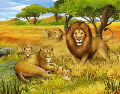 Фотообои \"Красивый рисунок львы и тигры в саванне\" - Арт. 003060019 |  Купить в интернет-магазине Фото в дом