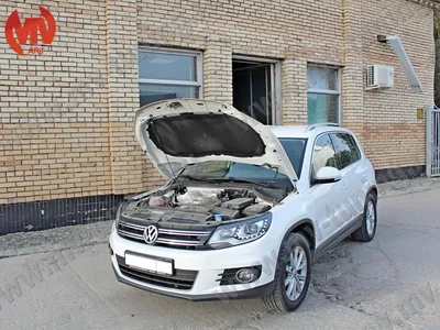 Упор капота VW Tiguan (2007-2016)