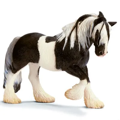 Картинка Лошадь породы Тинкер » Лошади » Животные » Картинки 24 - скачать  картинки бесплатно
