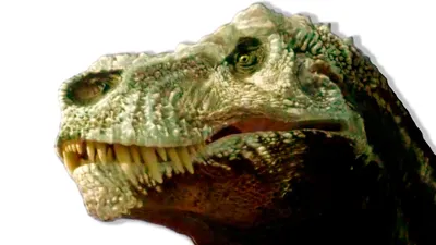 тирекс | Интересное и познавательное для детей Про динозавров | Тираннозавр  | Семен Ученый - YouTube