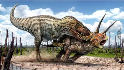 Пять самых маленьких и пять самых больших динозавров — Naked Science