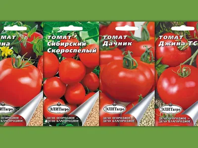 Торговая марка «Элитагро» представляет пакетированные семена - KP.RU