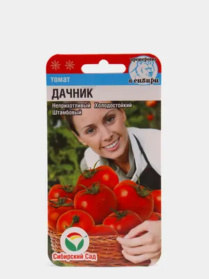 Томат Дачник (семена) за 24 ₽ купить в интернет-магазине KazanExpress