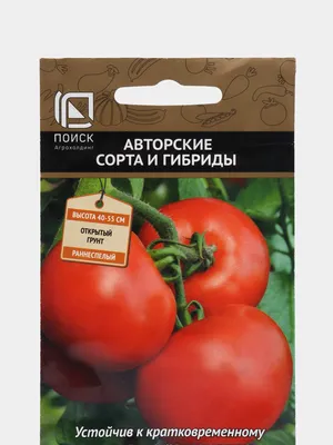 Семена Томат \"Дачник\" за 59 ₽ купить в интернет-магазине KazanExpress