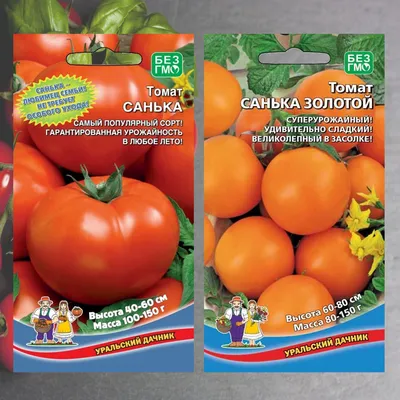 Томаты Уральский дачник томатыУД - купить по выгодным ценам в  интернет-магазине OZON