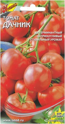 Томат Дачник, 35 семян — купить в интернет-магазине по низкой цене на  Яндекс Маркете