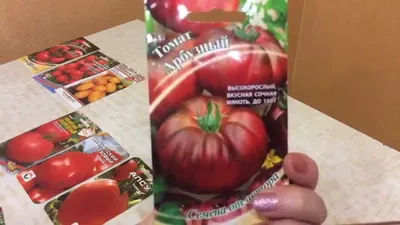 Семена, которые я купила в этом году. ТОМАТЫ (ПОМИДОРЫ) Часть 2 - YouTube