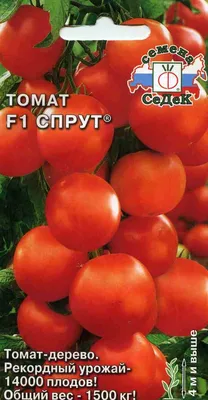 Томат Спрут F1®: Семена томатного дерева, описание.