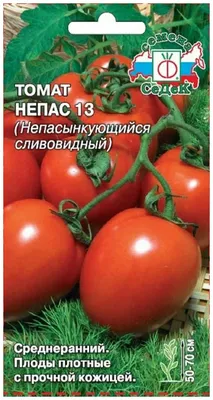 Верный томаты сливовидные — купить по низкой цене на Яндекс Маркете