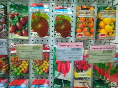 Семена несуществующих сортов нашли в магазине в Емельяново - Сибновости
