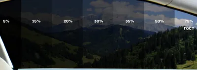 ГОСТ на тонировку авто - Какая тонировка разрешена на лобовом и передних  боковых стеклах
