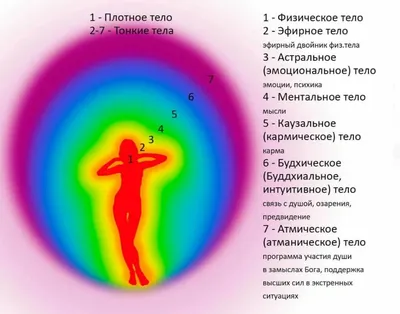 Сколько тел у человека? | Страна Здоровья | Дзен