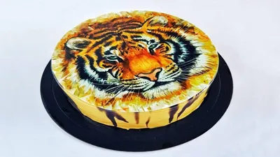Полосатый торт тигр - 68 photo