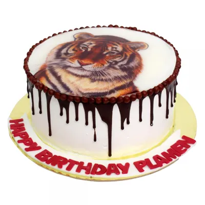 Детский торт Тигр №94425 — заказать по выгодной цене на фабрике МЯТА