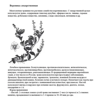 Природный заказник на правобережье реки Поли в Шатуре поставили на  кадастровый учет | Новости | Интернет-магазин орхидей и декоративных цветов  в Москве. У нас вы можете купить орхидеи с доставкой.