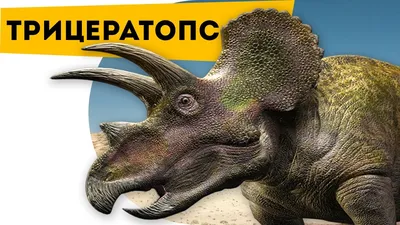 Интересное о динозаврах Трицератопс | Канал знаний Динозавры для детей - YouTube