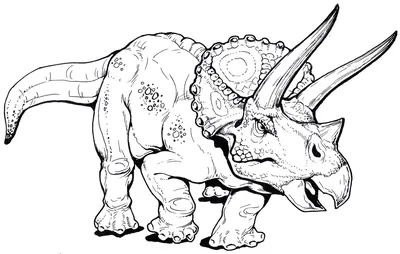 Раскраска Трицератопс Раскраска динозавр
