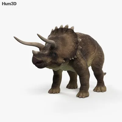 С анимацией Трицератопс 3D модель - Животные на Hum3D