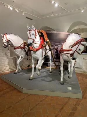 Три белых коня: долгожданная «Русская тройка» в Москве, в музее-заповеднике  «Коломенское» - Antenna Daily