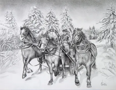Тройка лошадей рисунок карандашом - 68 фото