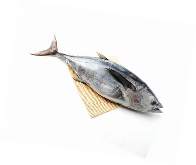 Polarseafood.ru - Тунец длинноперый, или белый (Thunnus alalunga, Longfin  tuna). 🐟 ☝️Считается одним из самых полезных морепродуктов. ✔️ Многие  слышали о большой концентрации ртути в мясе тунца. ✔️ Но рыба, выловленная в