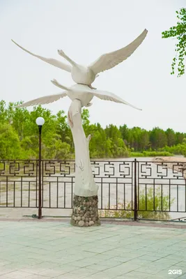 Китой, база отдыха, Ангарск-Тальяны автодорога 8 км, 7, Ангарск — 2ГИС