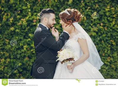 Турецкая свадьба стоковое изображение. изображение насчитывающей свадебный  - 97445091