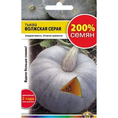 Семена РУССКИЙ ОГОРОД Тыква Волжская серая 92 200% NEW 4 г 414208 -  выгодная цена, отзывы, характеристики, фото - купить в Москве и РФ