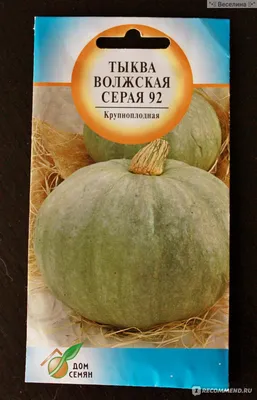 Семена \"Серая Волжская тыква 92\" \"Дом Семян\" - «Тыква - это не только  огородное украшение, а еще 5-7 кг сочной мякоти, сколько-нибудь там семечек  и огромное поле для экспериментов!» | отзывы