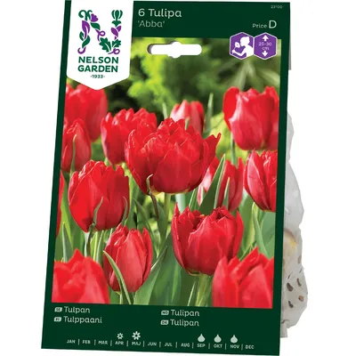 Karta - Tulipán - Abba (7 cibulí) \"C\" - Zahradní centrum \"Strakovo\" s.r.o.