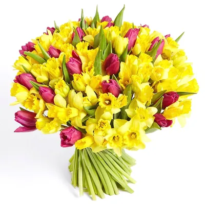 Тюльпаны и желтые нарциссы букеты с доставкой по Москве. Цена: 11900 руб в  интернет-магазине Centre-flower.ru