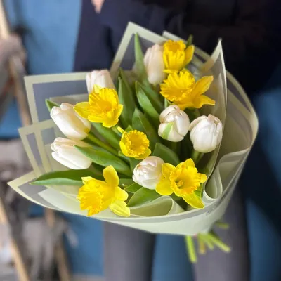 Тюльпаны, нарциссы, крокусы — какие сорта порадовали меня этой весной? Фото  — Ботаничка