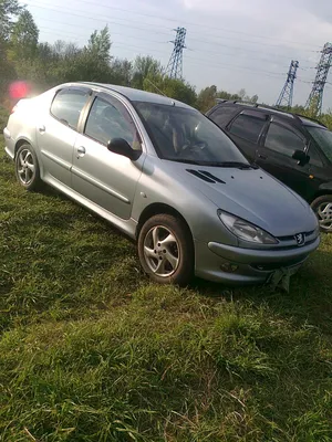 Black Bull Bonnet Bra for Peugeot 206 Stoneguard Protector Cover Tuning NEW  : Amazon.co.uk: Automotive