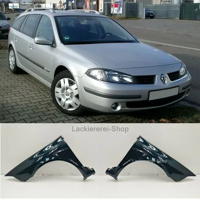 KOTFLÜGEL VORNE LACKIERT IN WUNSCHFARBE NEU für Renault Laguna 2005-2007 –  lackiererei-shop.de