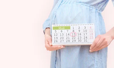Носовая кость норма в 12 недель: 🔍 популярные вопросы про беременность и  ответы на них