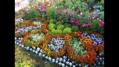 How to decorate a garden plot with flowers - YouTube