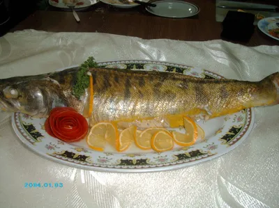 Фаршированная рыба - Рецептов в коллекции: 21 | Подборка на koolinar.ru